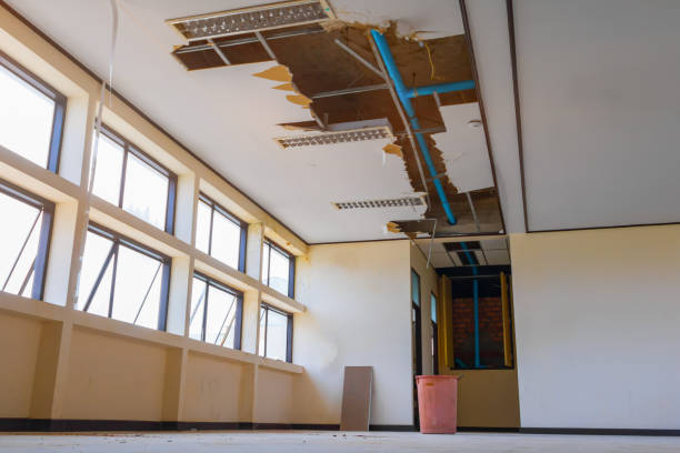 Best Flood damage cleanup  in Madison, NC