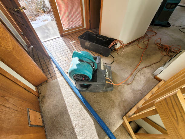 Best Flooded house restoration  in Madison, NC