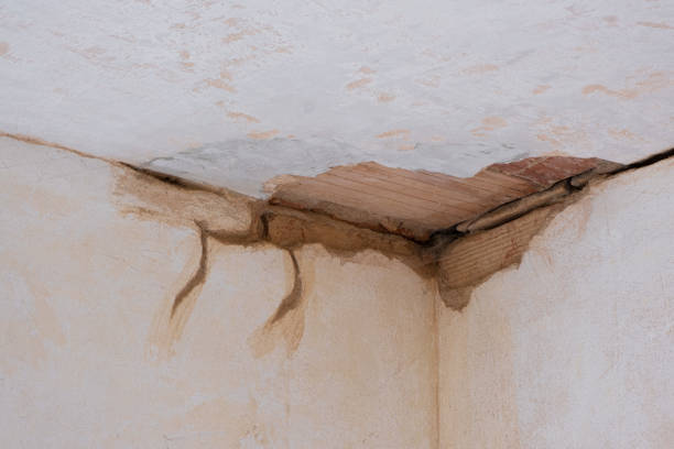 Reliable Madison, NC Water damage restoration Solutions