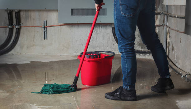 Water damage restoration mold remediation in Madison, NC