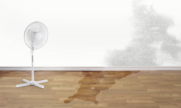 Best Residential water damage restoration  in Madison, NC