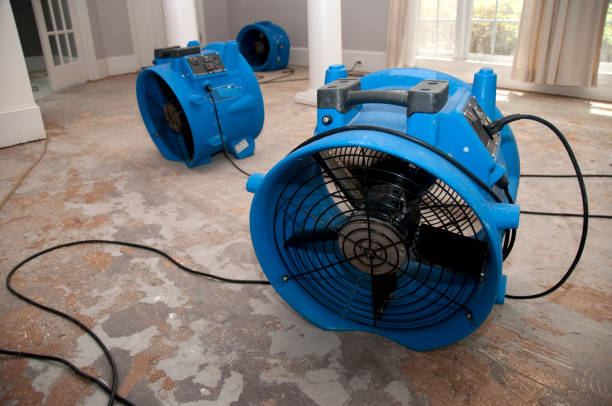 Best Basement water damage restoration  in Madison, NC