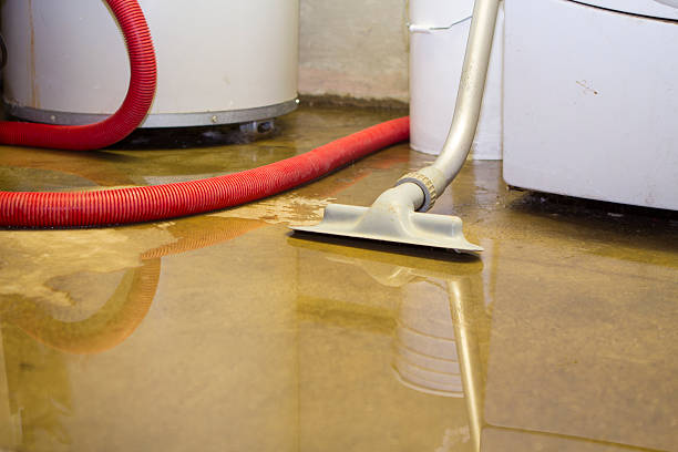 Best Water damage restoration near me  in Madison, NC