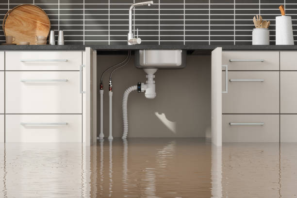Best Residential water damage restoration  in Madison, NC