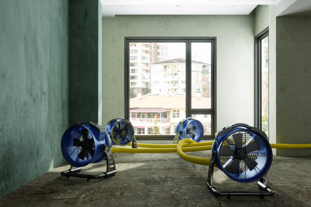 Best Mold removal after water damage  in Madison, NC